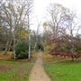 Cannizaro Park