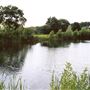 Bedfont Lakes Country Park