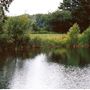 Bedfont Lakes Country Park