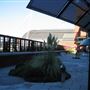 British Library