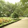 Whitehall Gardens