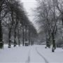 City of London Cemetery