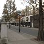 Carey Street