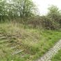 Railway Fields Nature Reserve