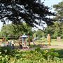 Gunnersbury Park