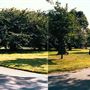 Hammersmith Cemetery