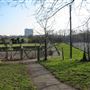 Alexandra Recreation Ground