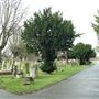 Ladywell Cemetery