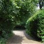 Highgate Wood