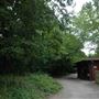Highgate Wood