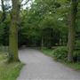 Highgate Wood
