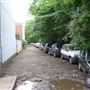 Brompton Grove