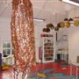 William Patten Primary School