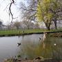 Gladstone Park