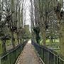 Tottenham Cemetery