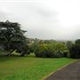 Norwood Grove