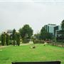Queens Gardens, Croydon