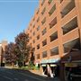 Rose Car Park