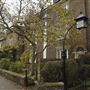 Ealing Green