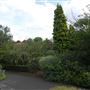 Hampstead Heath - the Hill Garden and Pergola