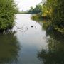 Walthamstow Reservoirs