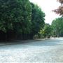 Barnmead and Plawsfield Roads
