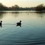Serpentine, Hyde Park