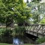 Bushy Park