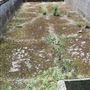 Wandle Valley Sewage Treatment Works