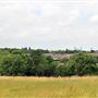 Blythe Hill Fields