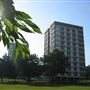 Westow Park