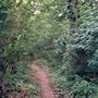 Fryent Country Park