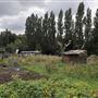 Birchen Grove Allotments