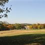 Hilly Fields