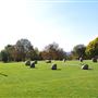 Hilly Fields