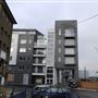 Barking Creek