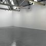 Corvi-Mora