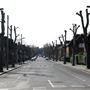 Erconwald Street