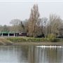Putney Embankment from Bishop's Park