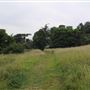 The Terrace Field