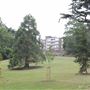 The Terrace Gardens