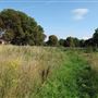 Pesthouse Common