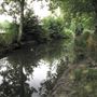 Old Deer Park