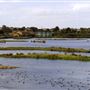 WWT London Wetland Centre