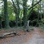 Barnes Common