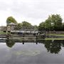 Waterworks Nature Reserve