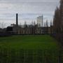 Allen Gardens