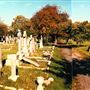 Fulham Cemetery