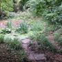 Dulwich Upper Wood