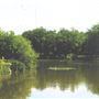 Monken Hadley Common